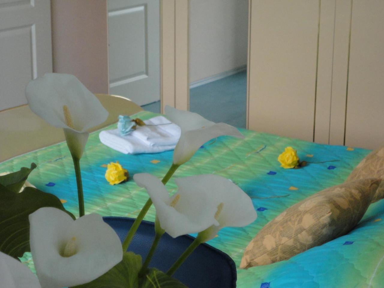 Accommodation J&T オフリド エクステリア 写真